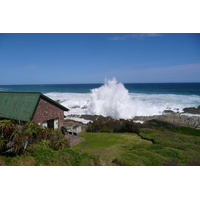 照片 南非(South Africa) 齐齐卡马国家公园(Tsitsikamma National Park) 2008-09 386