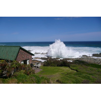 照片 南非(South Africa) 齐齐卡马国家公园(Tsitsikamma National Park) 2008-09 389