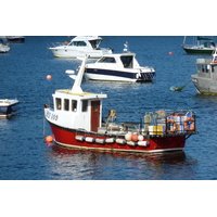 照片 英国(United Kingdom) 斯凯岛(Skye) 波特里(Portree) 2011-07 32