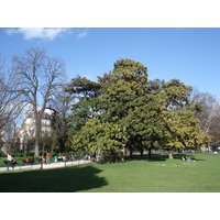照片 法国(France) 巴黎(Paris) 蒙索公园(Monceau Garden) 2006-03 38