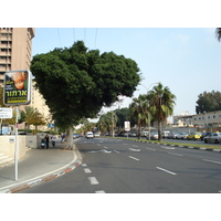 照片 以色列(Israel) 特拉维夫(Tel Aviv) 2006-12 87