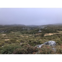 照片 法国(France) 科西嘉岛(Corsica) 阿尔塔罗卡(Alta Rocca) 2017-09 3