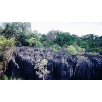 照片 马达加斯加(Madagascar) 黥基(Tsingy) 1999-10 2