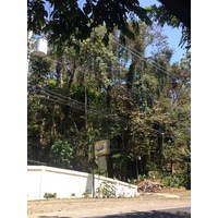 照片 哥斯达黎加(Costa Rica) 曼努埃尔安东尼奥(Manuel Antonio) 2015-03 2