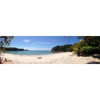 照片 哥斯达黎加(Costa Rica) 曼努埃尔安东尼奥(Manuel Antonio) 2015-03 197