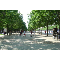照片 法国(France) 巴黎(Paris) 杜乐丽花园(Garden of Tuileries) 2007-05 50