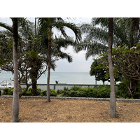 照片 泰国(Thailand) 芭提雅(Pattaya) 2023-01 7