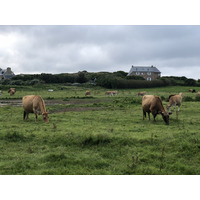 照片 法国(France) 布雷阿岛(Brehat Island) 2020-06 247