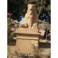 照片 埃及(Egypt) 卢克索(Luxor) 2007-04 30