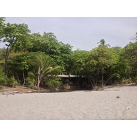 照片 哥斯达黎加(Costa Rica) 蒙特苏马(Montezuma) 2015-03 545
