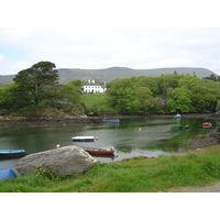 照片 爱尔兰(Ireland) 凯里郡(Kerry) 帕克纳西拉(Parknasilla) 2004-05 54