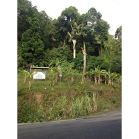 照片 哥斯达黎加(Costa Rica) 多米尼卡尔(Dominical) 2015-03 122