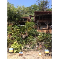 照片 哥斯达黎加(Costa Rica) 曼努埃尔安东尼奥(Manuel Antonio) 2015-03 107