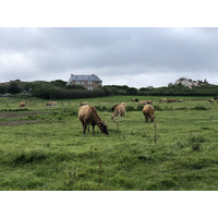 照片 法国(France) 布雷阿岛(Brehat Island) 2020-06 17