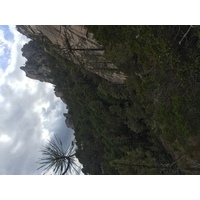 照片 法国(France) 科西嘉岛(Corsica) 普尔卡拉恰瀑布(Cascades de Purcaraccia) 2017-09 9