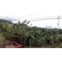 照片 哥斯达黎加(Costa Rica) 图里亚尔瓦(Turrialba) 2015-03 18