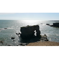 照片 法国(France) 普雷法耶(Prefailles) 圣吉尔达角至普雷法耶(Pointe St Gildas to Prefailles) 2007-07 62