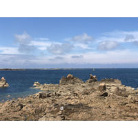 照片 法国(France) 布雷阿岛(Brehat Island) 2020-06 117
