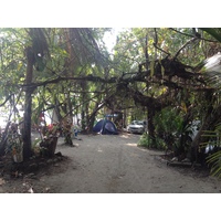 照片 哥斯达黎加(Costa Rica) 曼努埃尔安东尼奥(Manuel Antonio) 2015-03 244