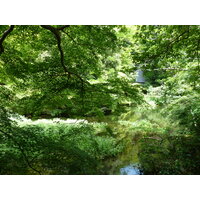 照片 日本(Japan) 京都(Kyoto) 八濑比叡山口站(Yase Hieizanguchi Station) 2010-06 16