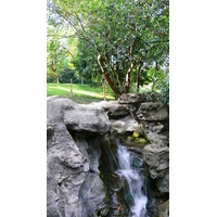 照片 法国(France) 巴黎(Paris) 肖蒙山丘公园(Parc des Buttes Chaumont) 2007-08 83