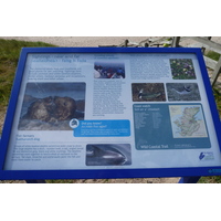 照片 英国(United Kingdom) 苏格兰(Scotland) 盖尔洛赫(Gairloch) 2011-07 57