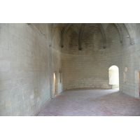 照片 法国(France) 塔拉斯孔(Tarascon) 塔拉斯孔城堡(Tarascon Castle) 2008-04 85