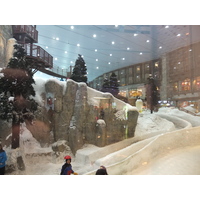 照片 阿联酋(United Arab Emirates) 迪拜(Dubai) 迪拜室内滑雪场(Ski Dubai) 2011-12 1