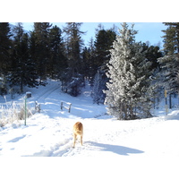 照片 瑞士(Switzerland) 圣莫里茨施拉里尼亚(St Moritz Schlarigna) 2007-01 95