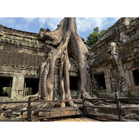 照片 柬埔寨(Cambodia) 暹粒(Siem Reap) 塔布茏寺(Ta Prohm) 2023-01 89