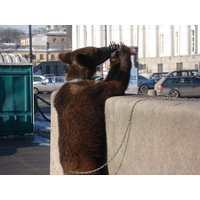照片 俄罗斯(Russia) 圣彼得堡(St Petersburg) 2006-03 147