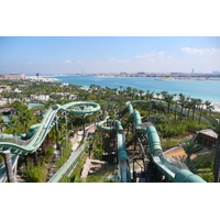 照片 阿联酋(United Arab Emirates) 迪拜(Dubai) 迪拜水世界(Dubai Aquaventure) 2009-01 0