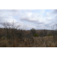 照片 南非(South Africa) 克鲁格国家公园(Kruger National Park) 2008-09 153