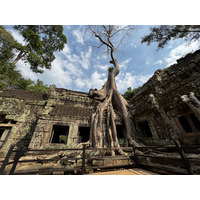 照片 柬埔寨(Cambodia) 暹粒(Siem Reap) 塔布茏寺(Ta Prohm) 2023-01 104