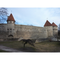 照片 爱沙尼亚(Estonia) 塔林(Tallinn) 塔林老城(Old Tallinn) 2009-04 23
