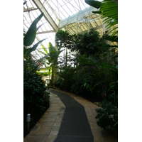 照片 法国(France) 尼斯(Nice) 凤凰公园(Phoenix Parc) 2007-10 62