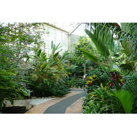 照片 法国(France) 尼斯(Nice) 凤凰公园(Phoenix Parc) 2007-10 54