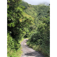 照片 瓜德罗普(Guadeloupe) 大苏弗里耶尔火山(La Grande Soufriere) 2021-02 59