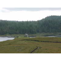 照片 爱尔兰(Ireland) 康尼马拉(Connemara) 2003-09 52