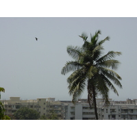 照片 印度(India) 孟买(Mumbai) 2003-05 59