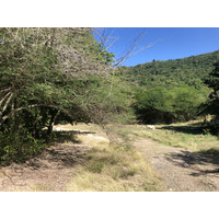 照片 瓜德罗普(Guadeloupe) 皇家堡(Fort Royal) 2021-02 16