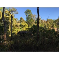照片 泰国(Thailand) 普欣隆卡国家公园(Phu Hin Rong Kla National Park) 2014-12 387