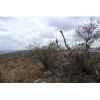 照片 南非(South Africa) 克鲁格国家公园(Kruger National Park) 2008-09 142