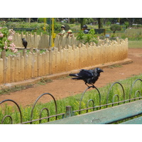 照片 印度(India) 孟买(Mumbai) 2003-05 53