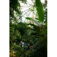 照片 法国(France) 尼斯(Nice) 凤凰公园(Phoenix Parc) 2007-10 19