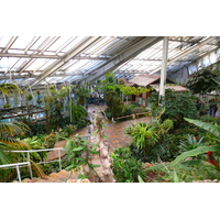 照片 法国(France) 尼斯(Nice) 凤凰公园(Phoenix Parc) 2007-10 0