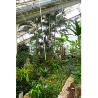 照片 法国(France) 尼斯(Nice) 凤凰公园(Phoenix Parc) 2007-10 10