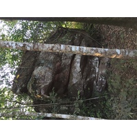 照片 泰国(Thailand) 普欣隆卡国家公园(Phu Hin Rong Kla National Park) 2014-12 417