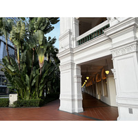 照片 新加坡(Singapore) 新加坡莱佛士酒店(Raffles Hotel Singapore) 2023-01 21