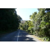 照片 南非(South Africa) 自然谷(Nature's Valley) 2008-09 46
